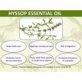 थोक थोक 100% शुद्ध प्राकृतिक Hyssop आवश्यक तेल